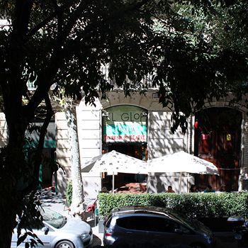 Cami Gallery