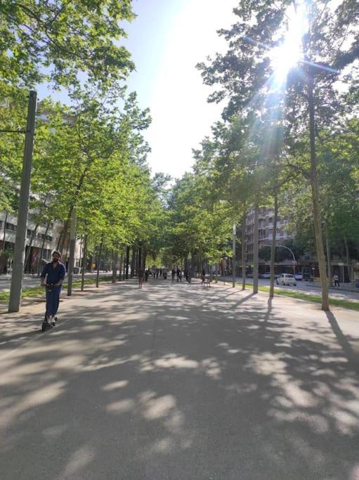 New! Amazing 2 Bedroom In Rambla Del Poblenou Apartment *