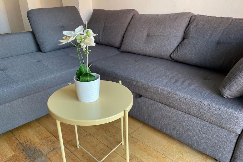 New! Amazing 2 Bedroom In Rambla Del Poblenou Apartment *