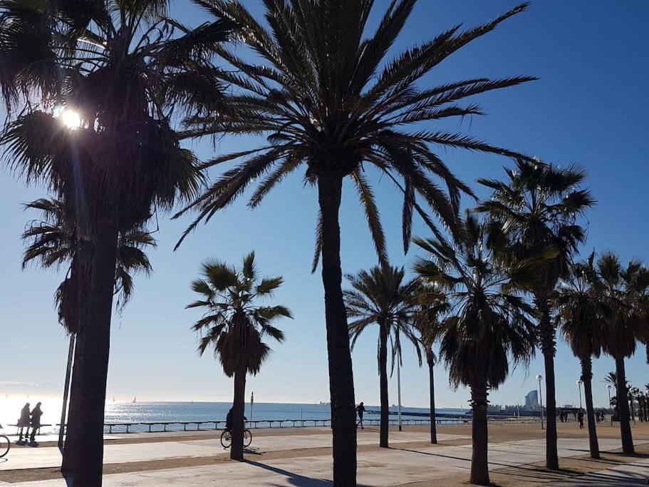 Apartment New! Amazing 2 Bedroom In Rambla Del Poblenou