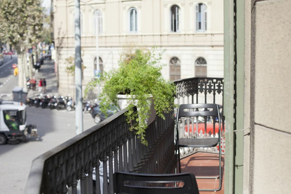Amra Caspe Barcelona