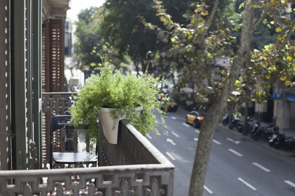 Amra Caspe Guest house 2*