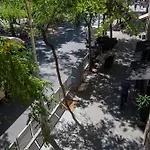 Plaza Goya Rooms