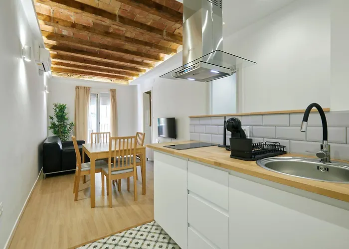 Stylish Typical Bcn Flat