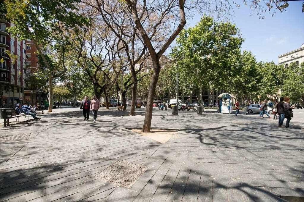 Port Viii Centrico En Paralelo Cerca Rambla