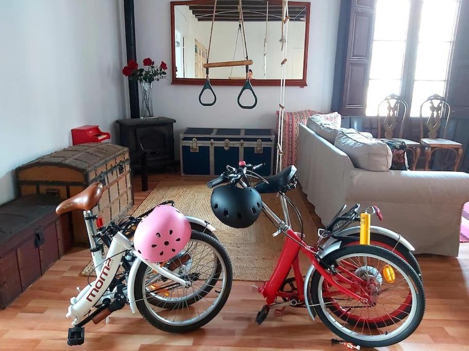 Small In Sants With Huge Terrace Homestay *