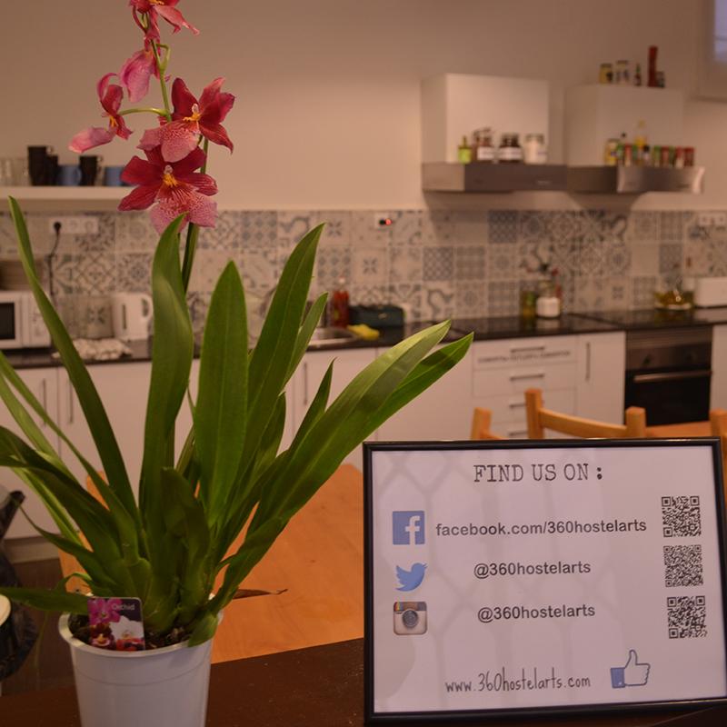 360 Borne Hostal *