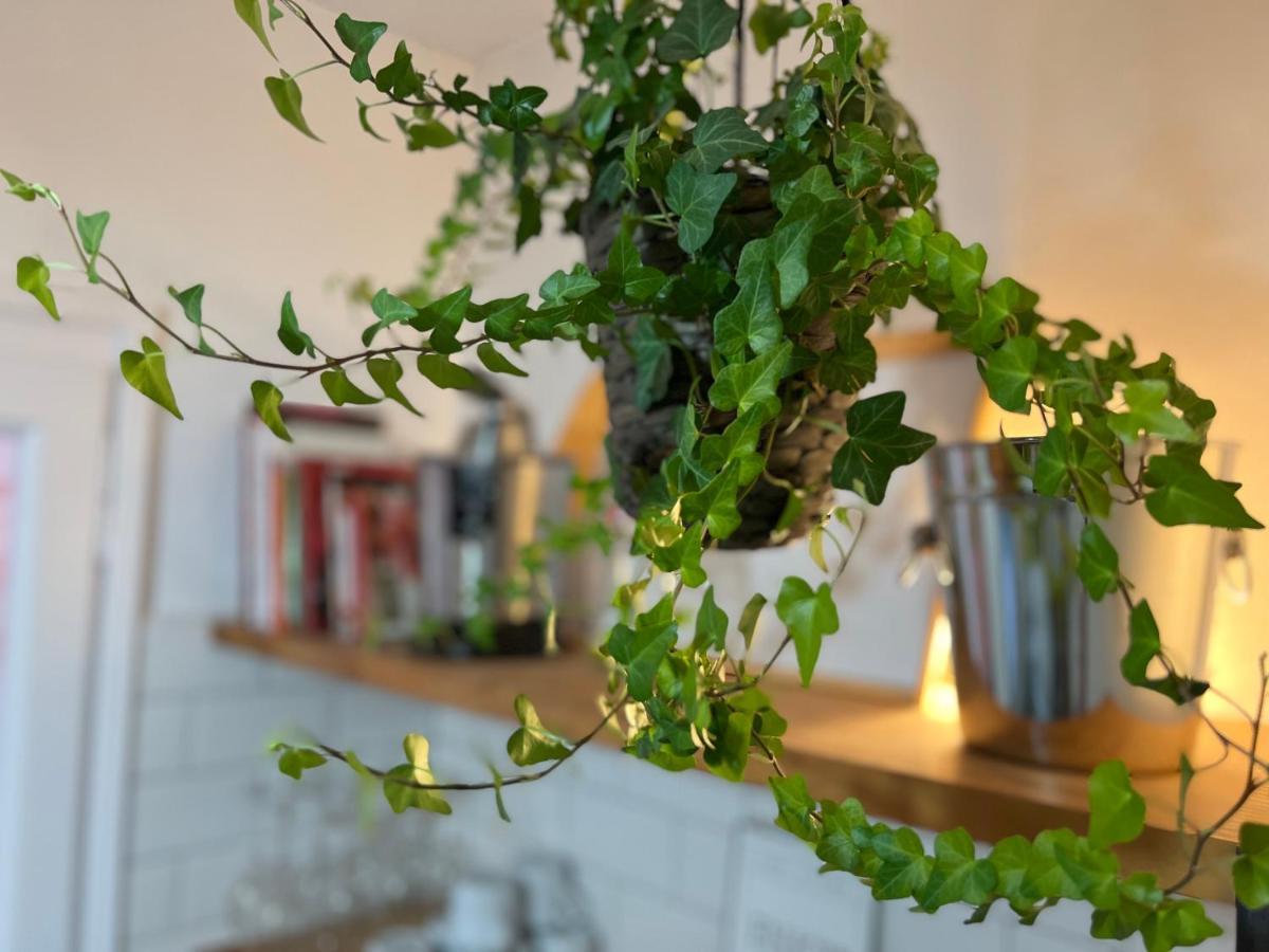 Charming In The Heart Of Apartamento