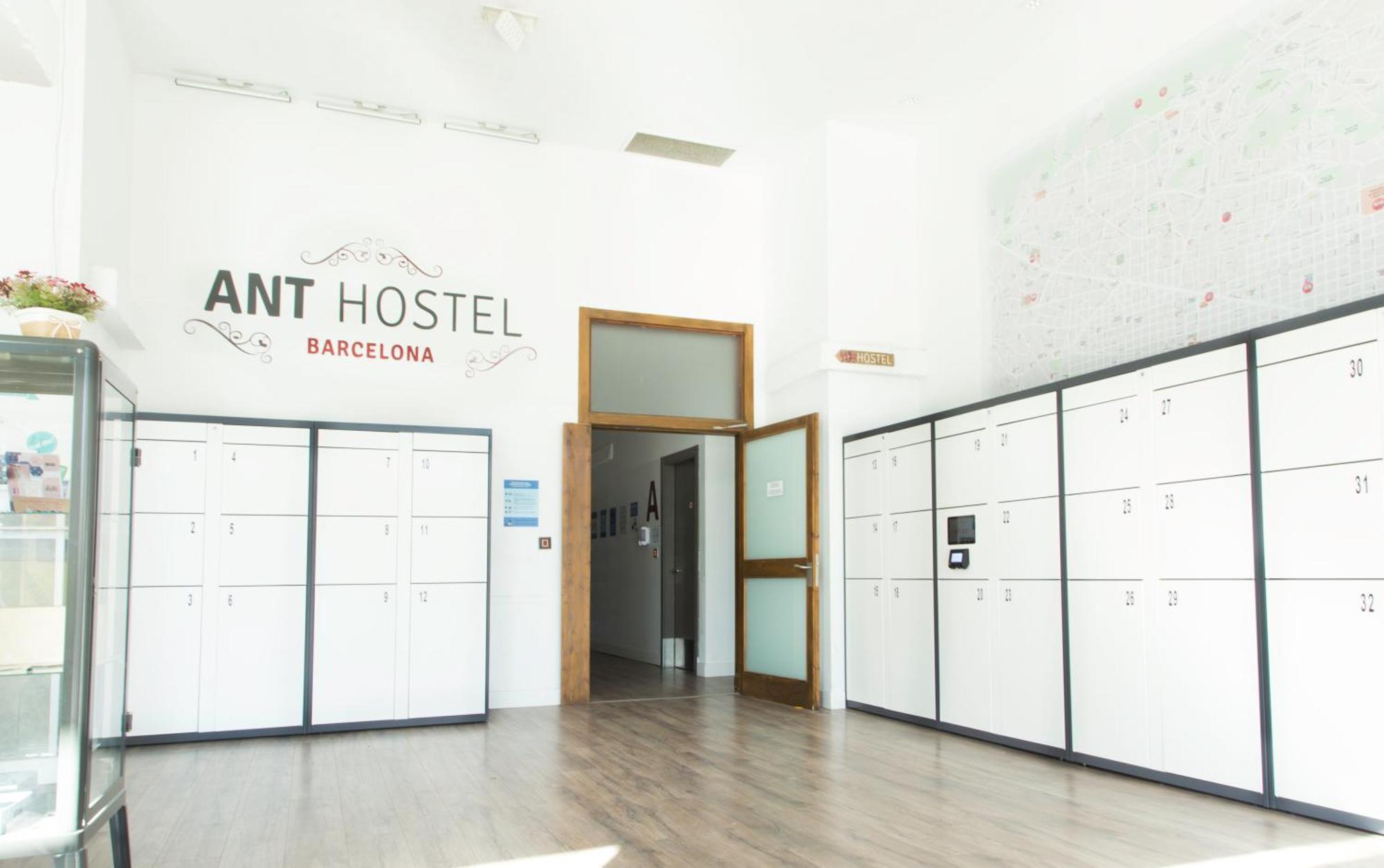 Ant Hostel *