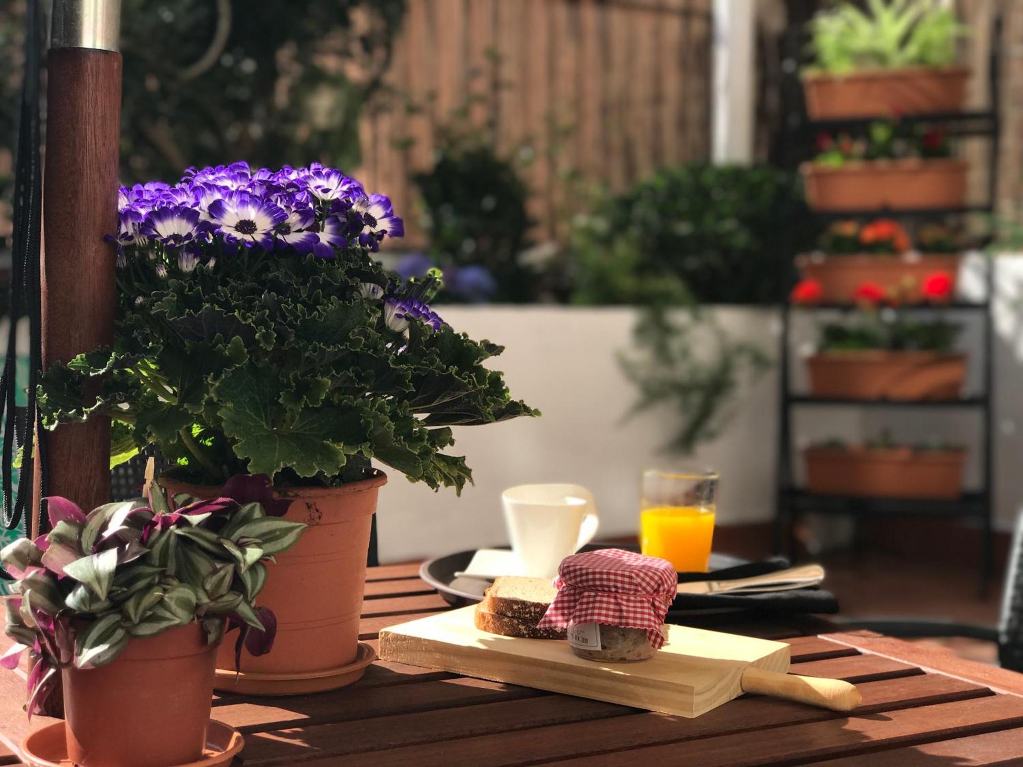 Apartamento Eixample Modernista *