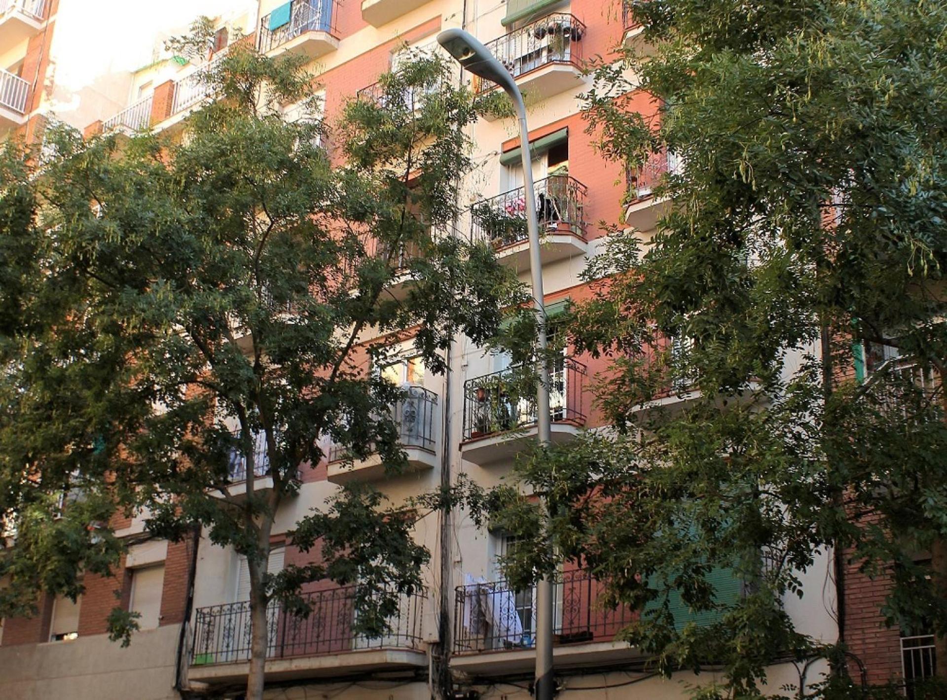 - Munne Apartamento *