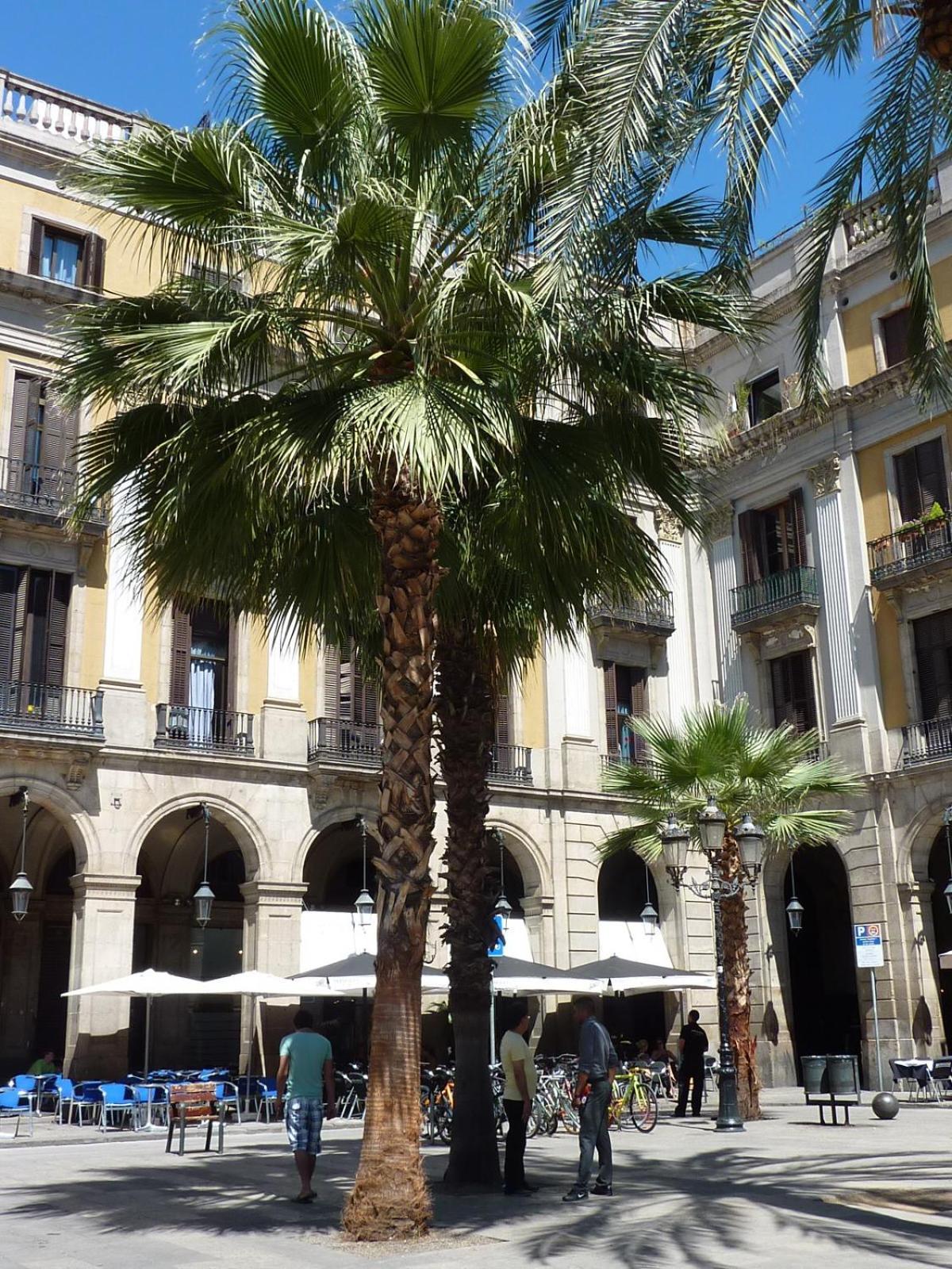 Hotel Roma Reial *