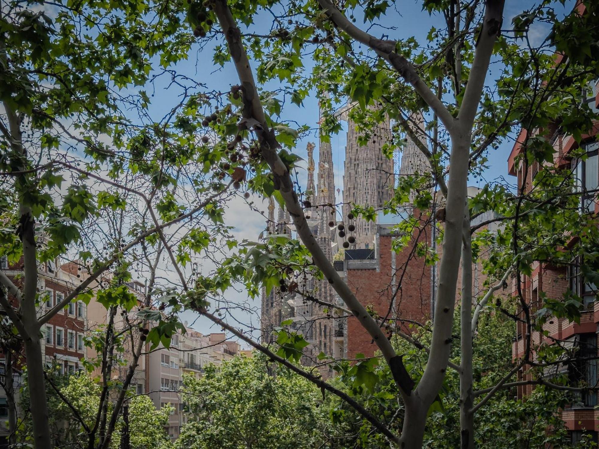 U-nique Gaudi I Apartamento Barcelona