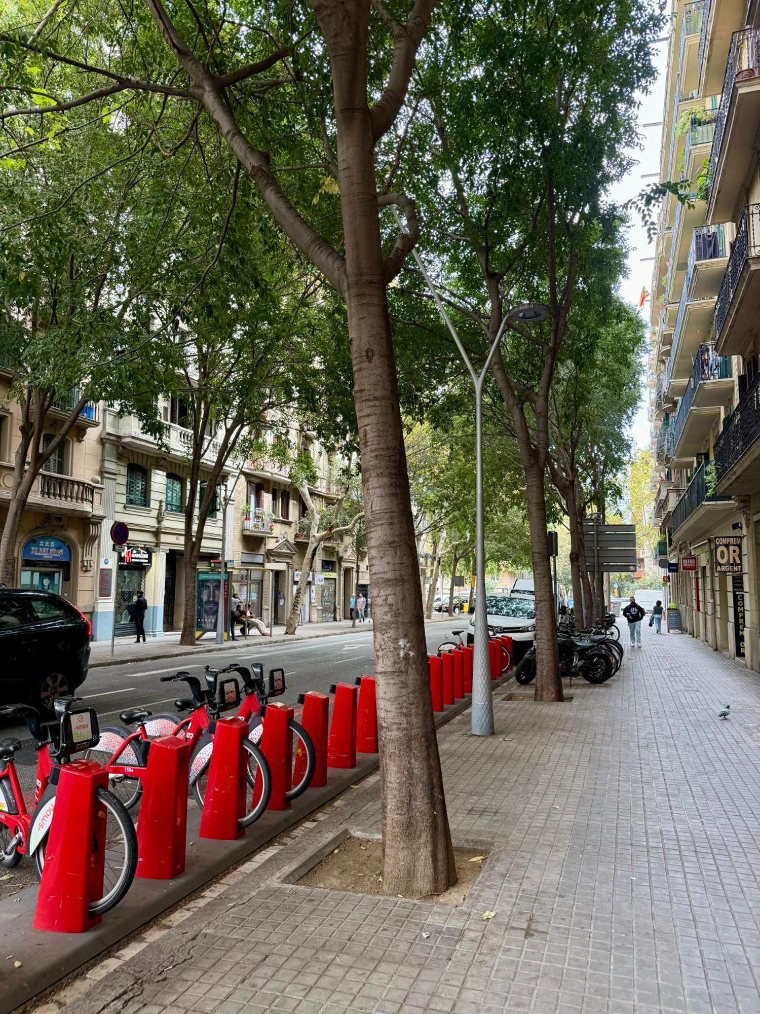 Comfort Eixample Apartment Barcelona