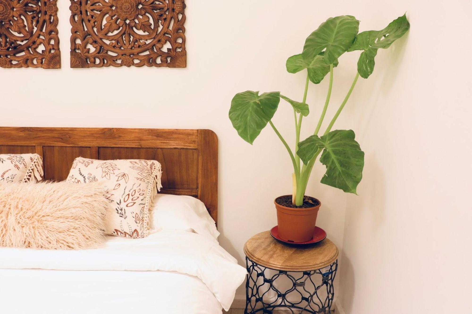 Bed and breakfast Harmony Barcelona