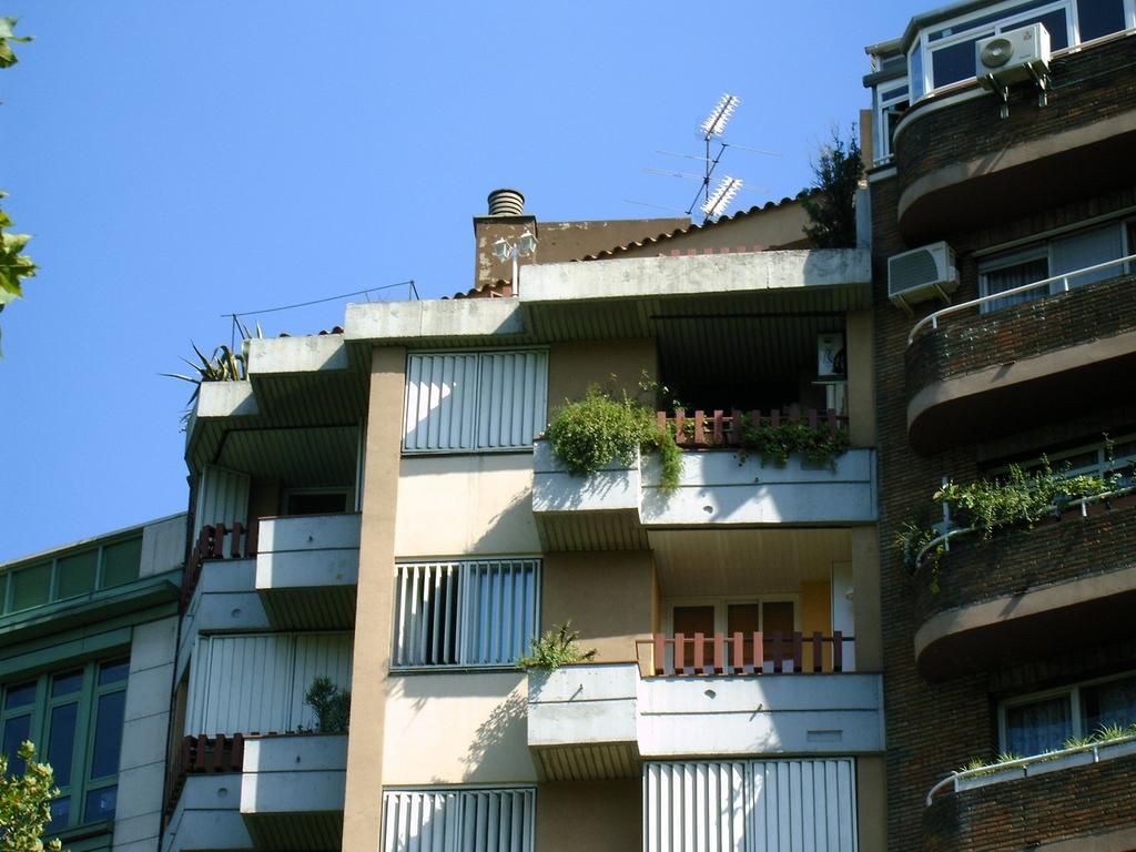 The Barcelona