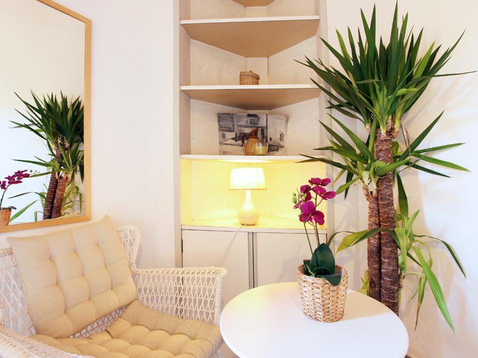 Primavera Hostal Barcelona