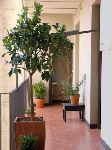 Guest house El Puchi
