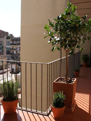 El Puchi Guest house *