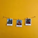 Sunflower Apartment