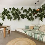 Canela Homes Barcelona Valencia