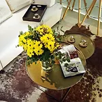 Apartment Barcelona Rentals - Pool Terrace In City Center