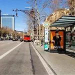 Provenza Flat