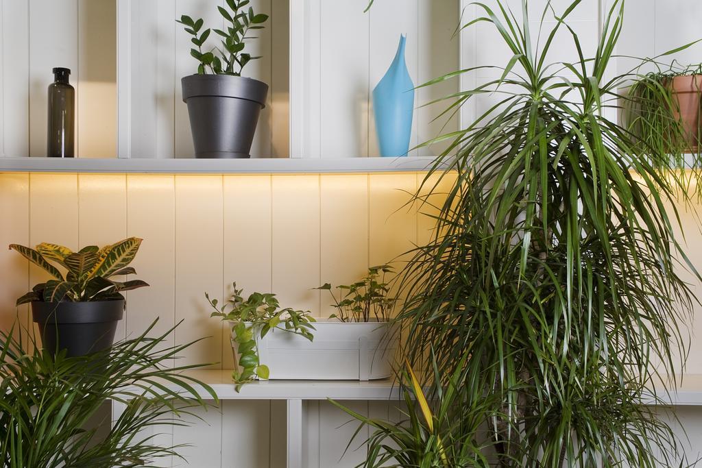 Praktik Garden 2* Barcelona