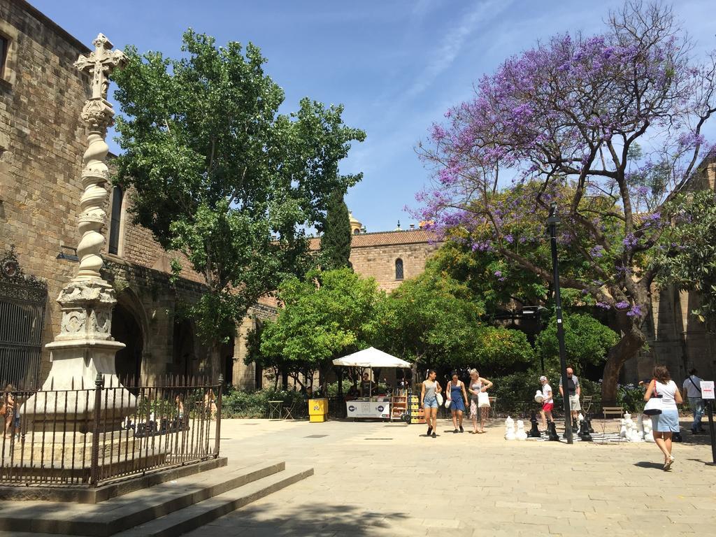Bcn Pensión *