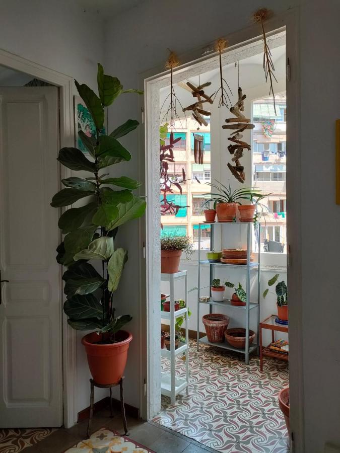Apartamento Pequeno Y Encantador Oasis En *