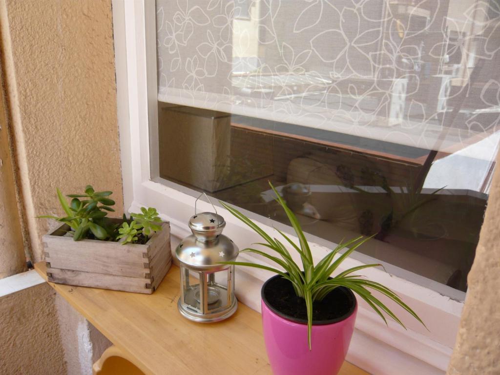 Conde Gueell Apartment