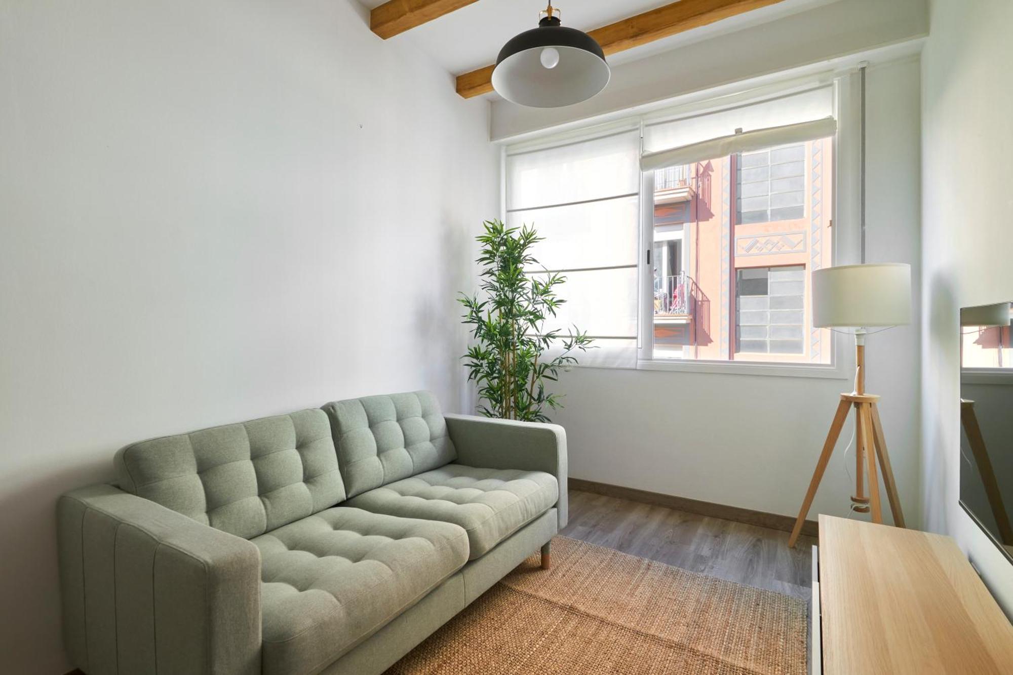 Apartment Ol Cute Apartment In Quiet Olivera St