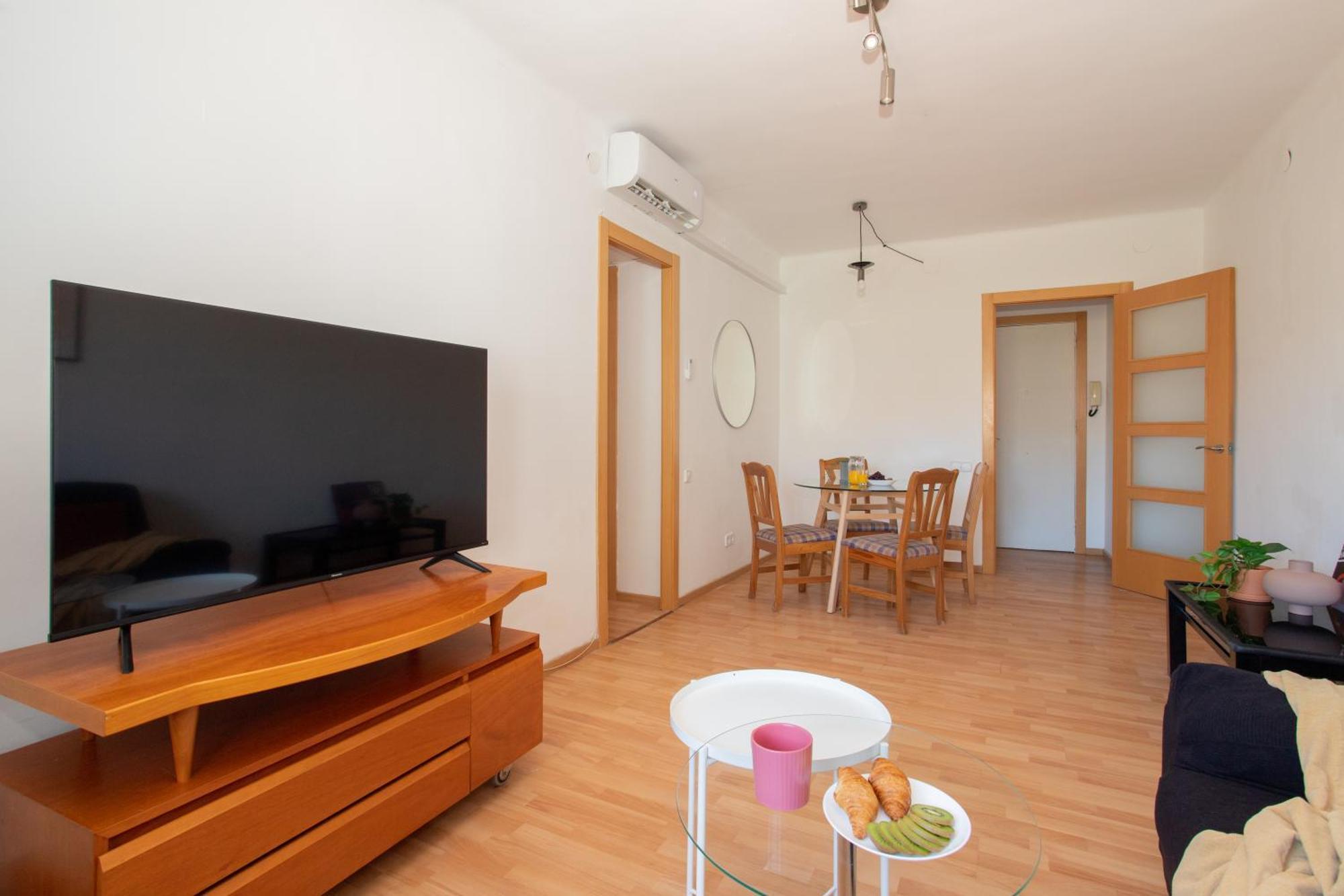 00 Sagrada Familia Apartment