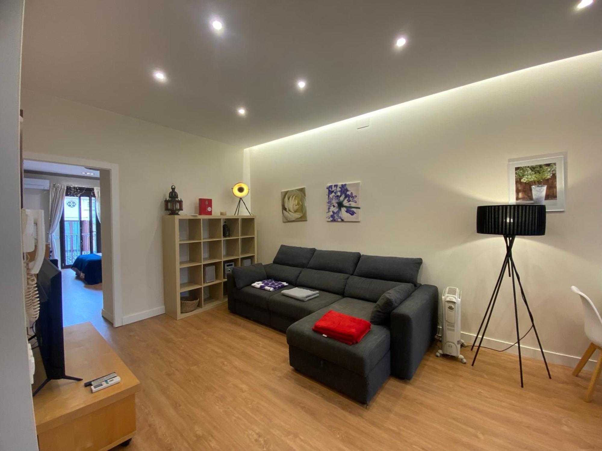 Apartamento Spatious Luxe Paseo De Gracia Diagonal