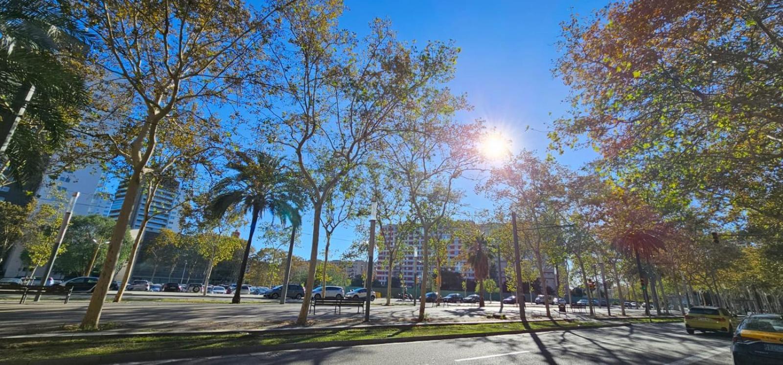 Apartment 8 Min Walk To The & 10 Min Walk To Convention Centre ! *