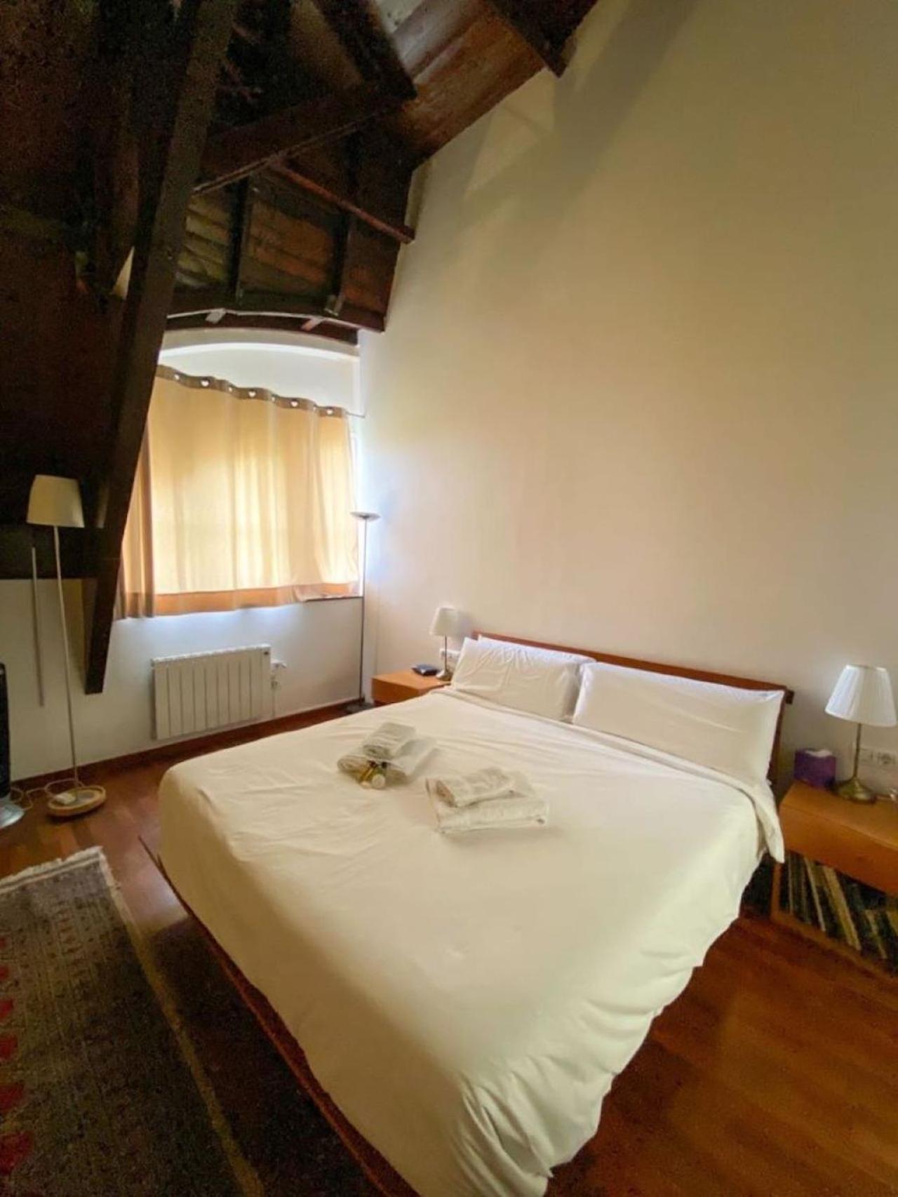 Passeig De Gracia Loft Apartamento *