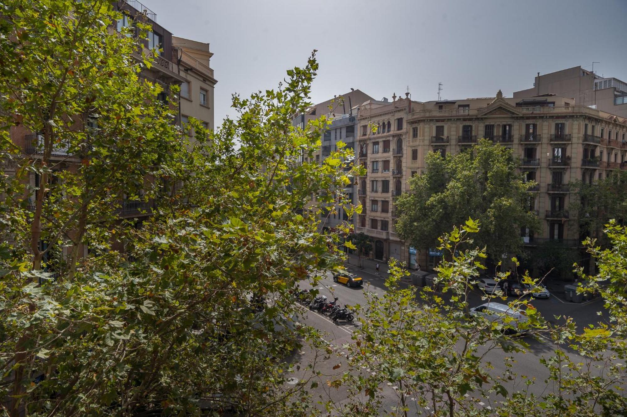 R&b Muntaner Apartamento Barcelona