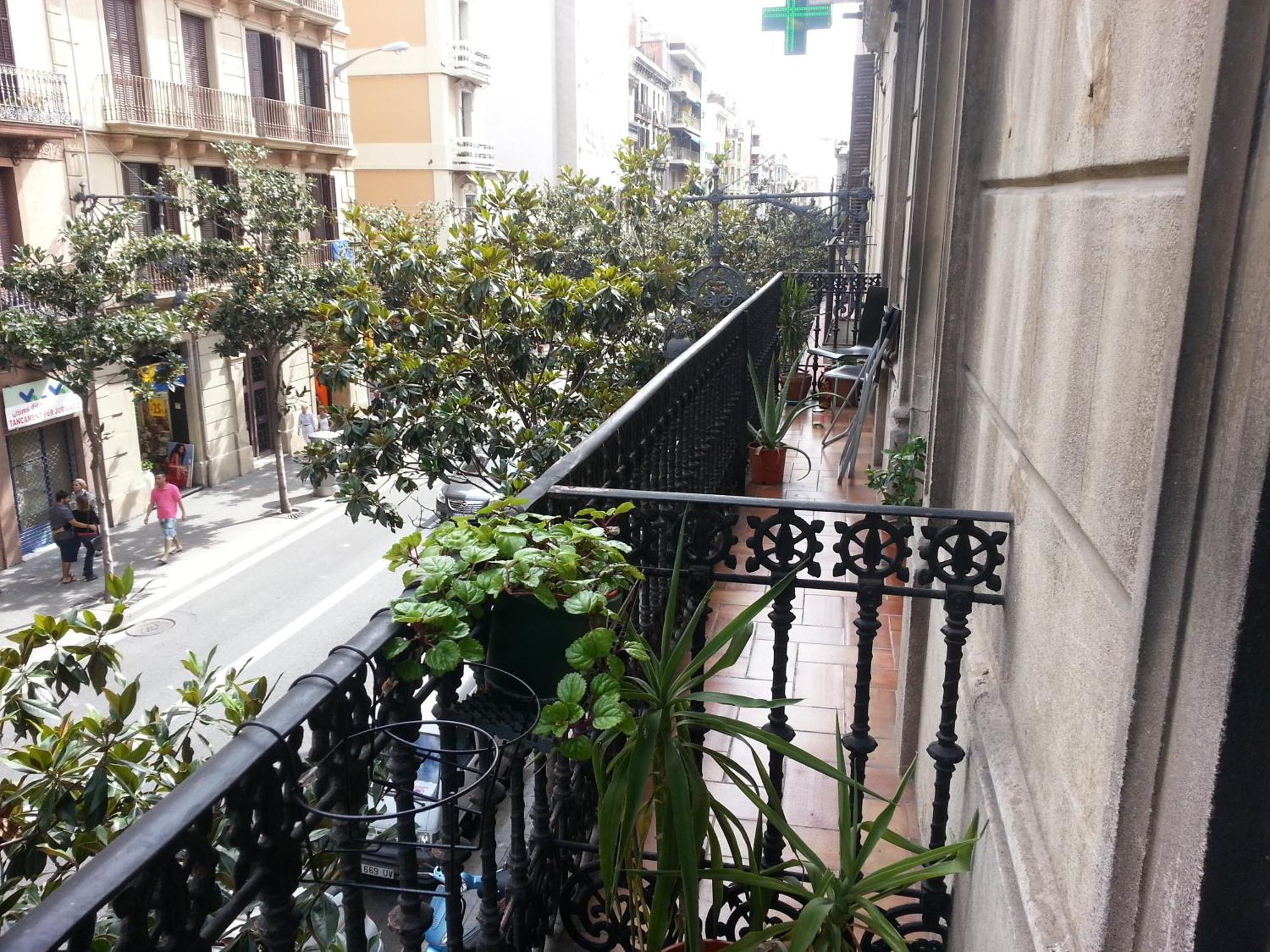 Housing Recommend For Student And Professor Barcelona