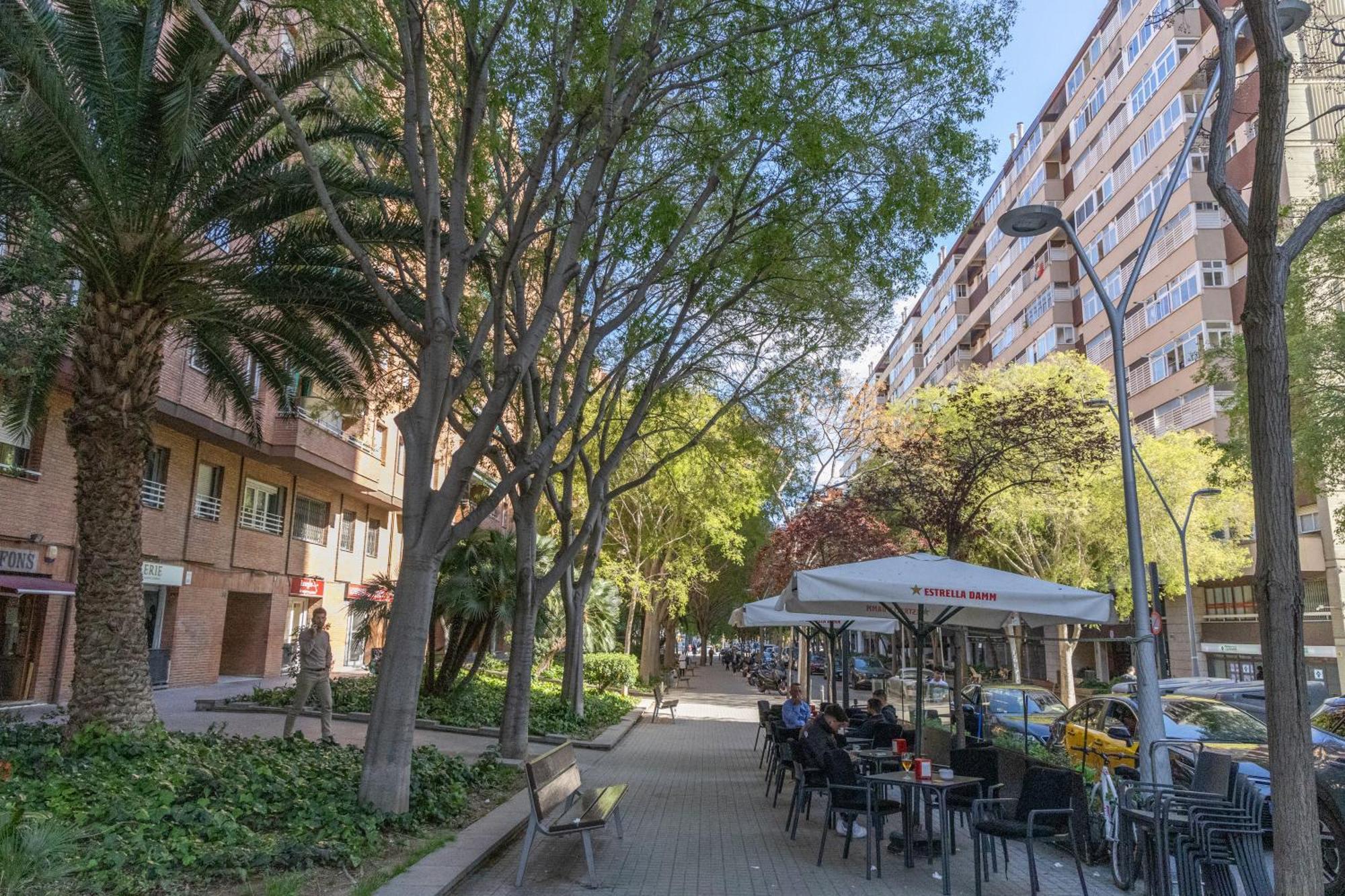 Apartamento Maria Cristina Mercader Estrella
