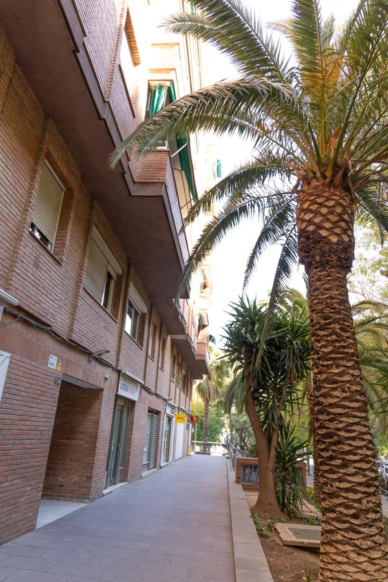 Apartamento Maria Cristina Mercader Estrella Barcelona
