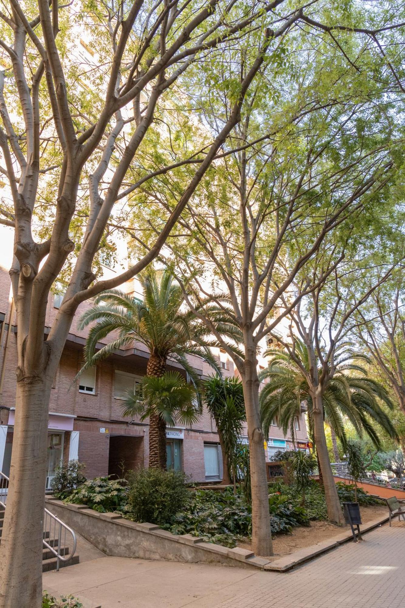 Apartamento Maria Cristina Mercader Estrella