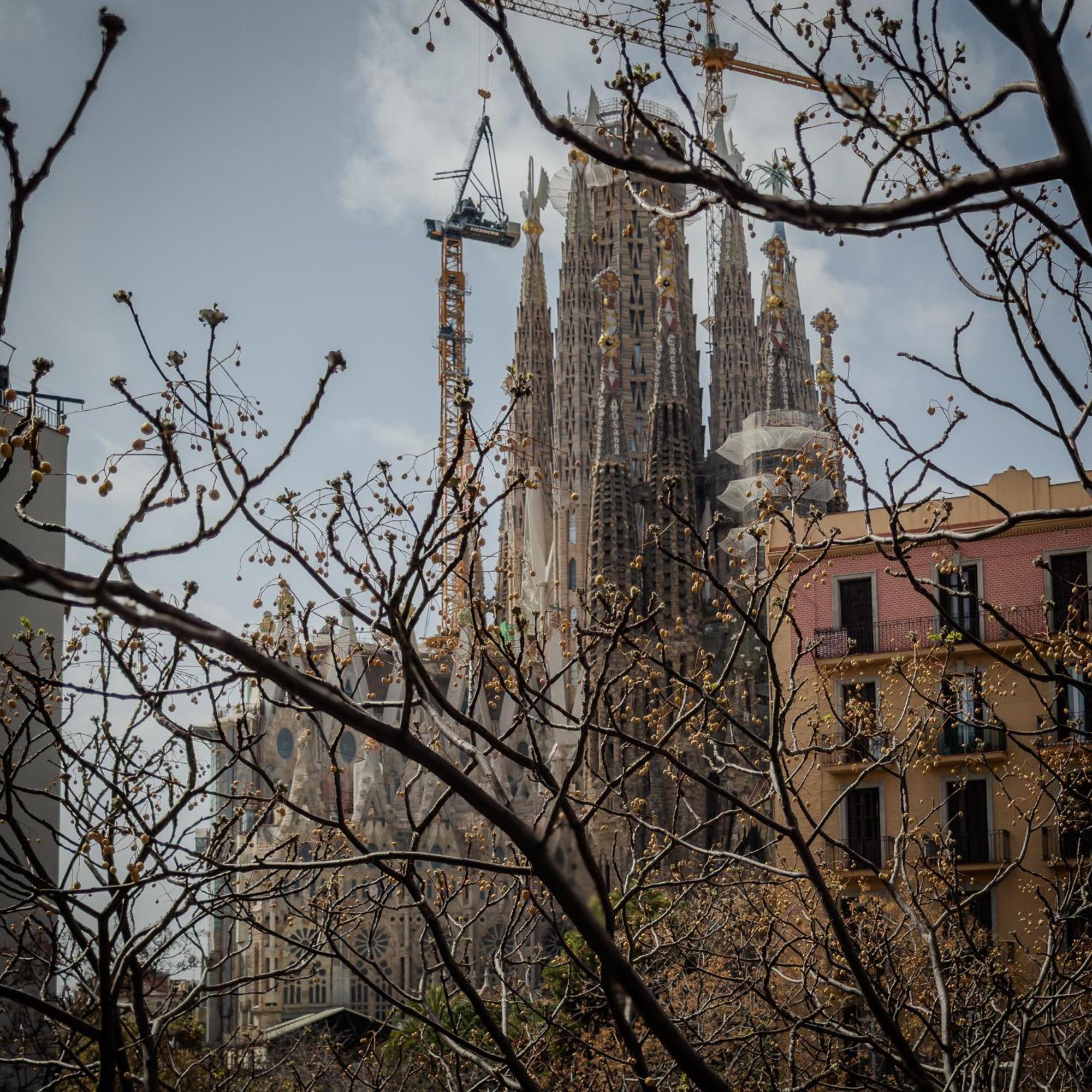 U-nique Sagrada Familia Ii Apartamento *