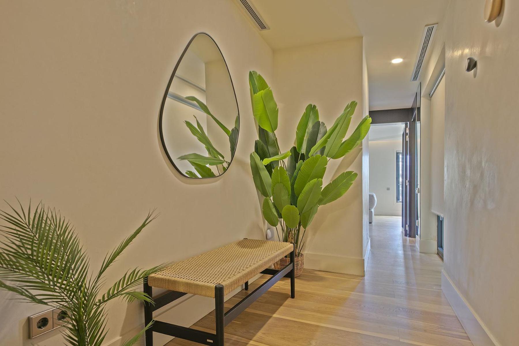 Ola Living Paseo De Gracia * Barcelona