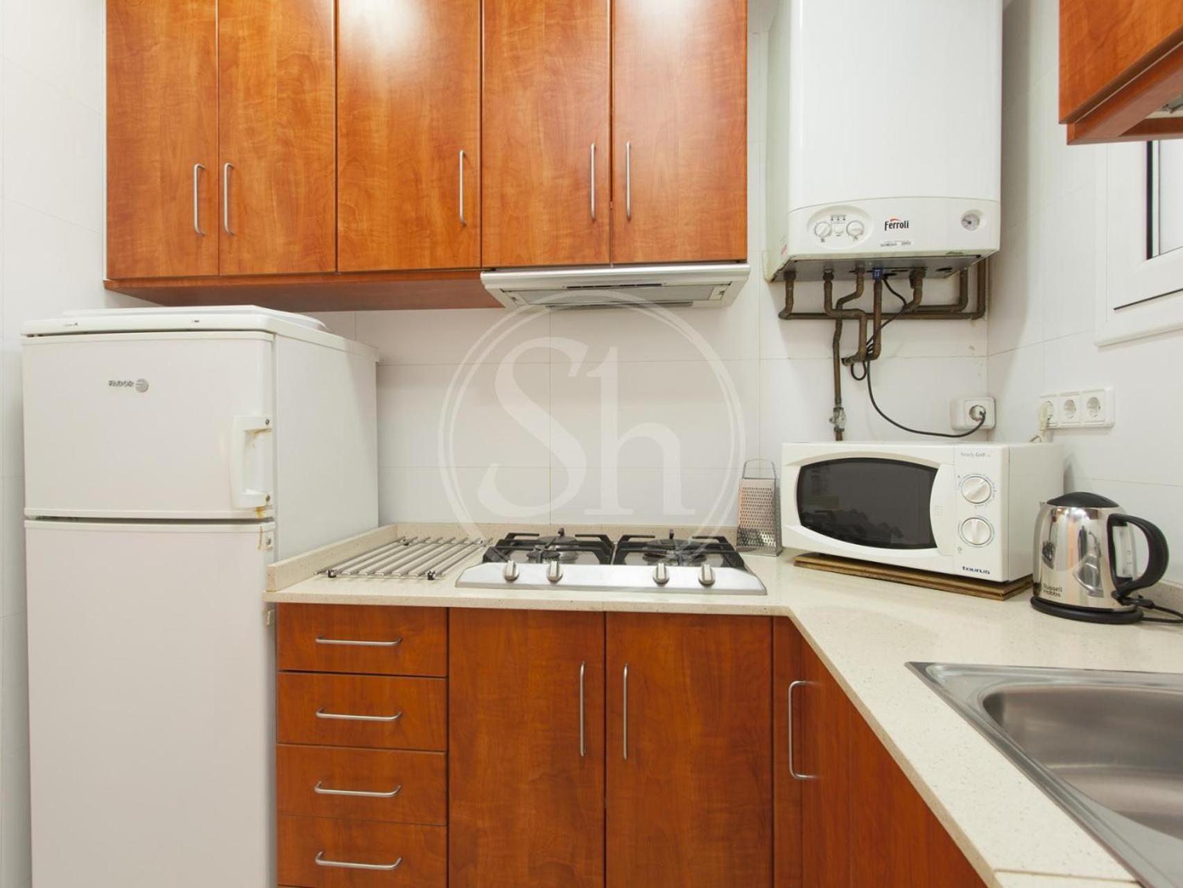 Al Lado De Sagrada Familia Apartment