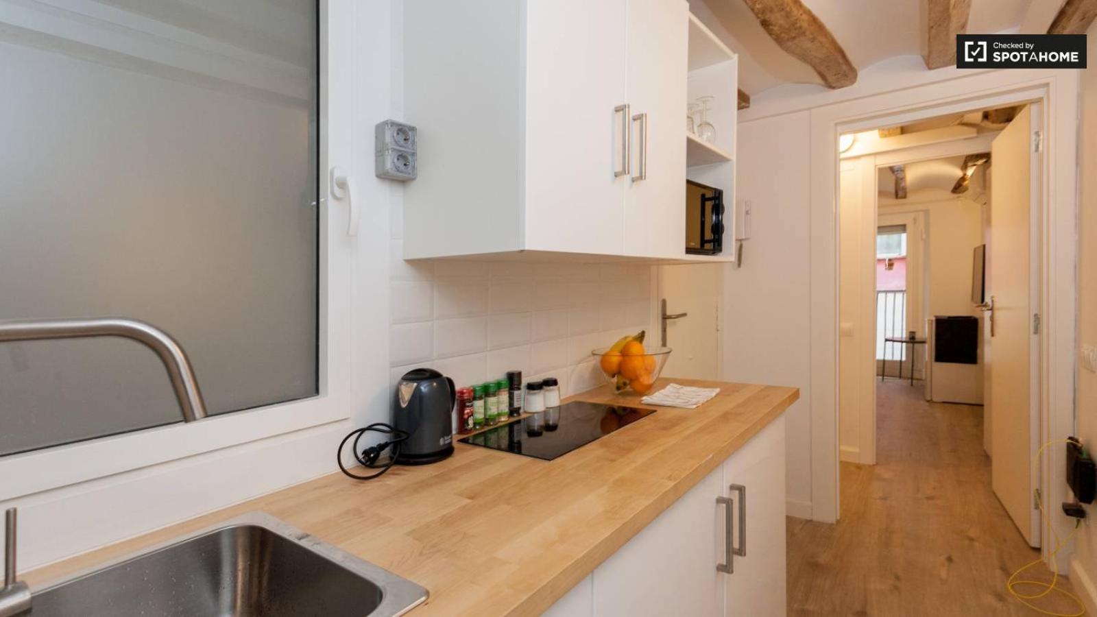 Apartamento Ramblas Chic - 03 *
