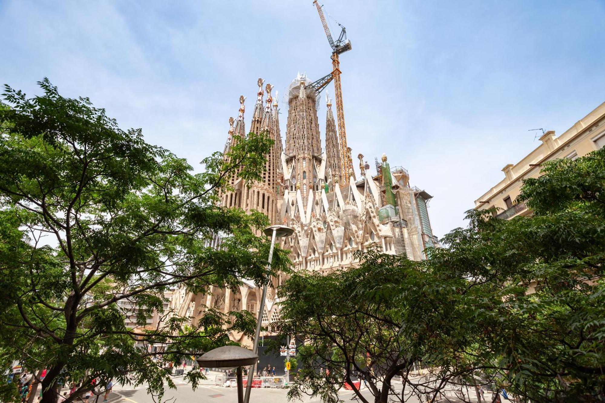Click&flat Gaudi Dream Ii *