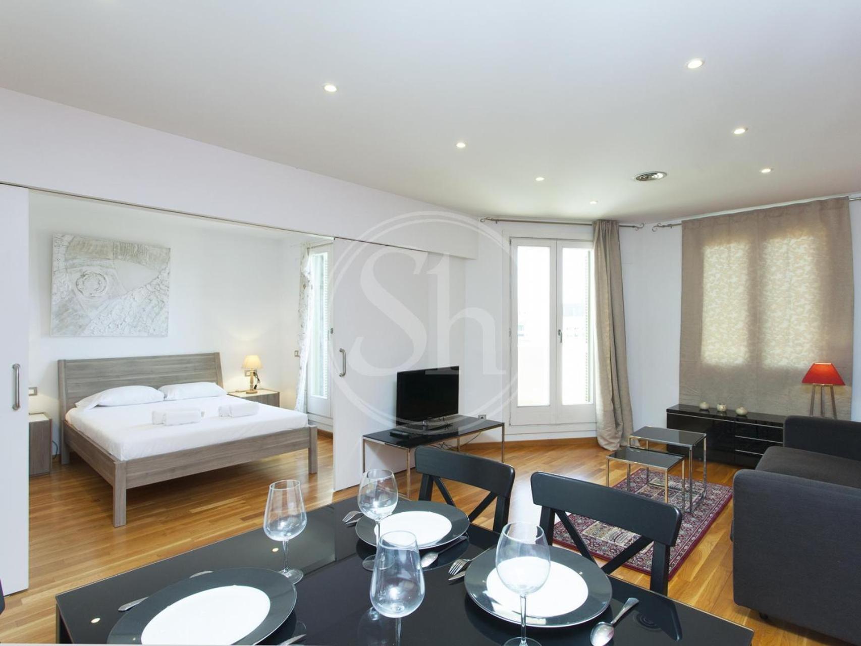 Apartamento Paseo De Gracia *