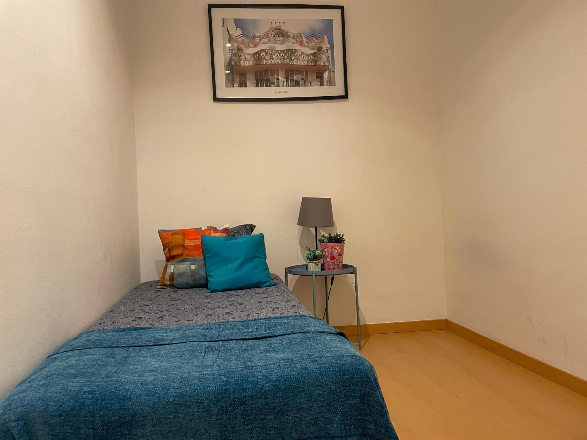 Hostal Central Cathedral *
