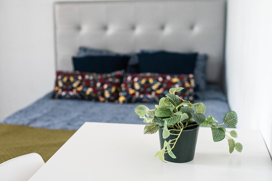 Hostal Private In Heart Of Barcelona