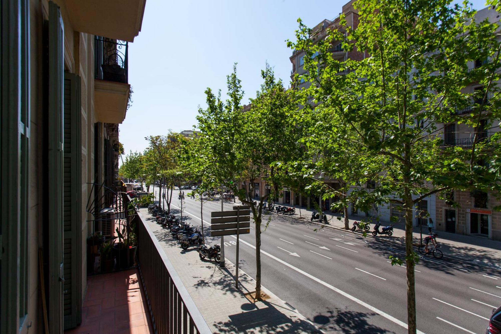 Ab Comte D'urgell - 2512 Apartamento *